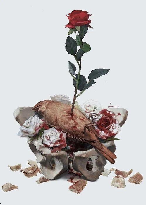 夜莺与玫瑰 2025,2025年的浪漫传奇