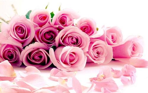 玫瑰花开情深时（相亲当天他拉着我领）,相亲当天，他牵我手共赴爱河