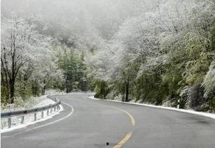 五月雪,冬日里的浪漫奇遇