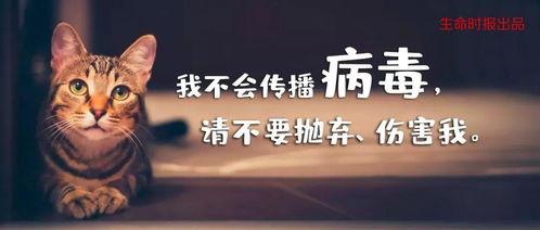 病的时候别求我